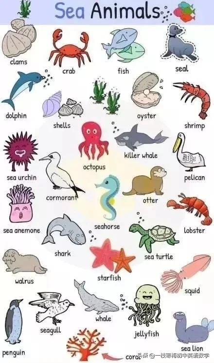 动物英文名称大全,沙漠里的动物英文名称