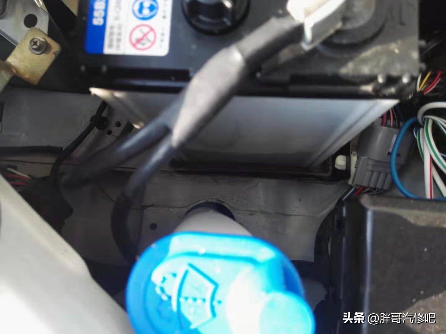 胖哥二手车最新视频,胖哥买二手车