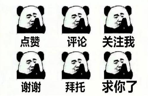 如何选优质母猪,怎样选一个优质母猪