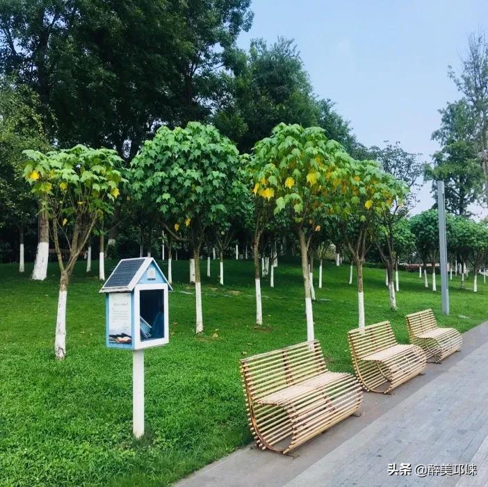 邛崃最新发展,崛起之路走上巅峰