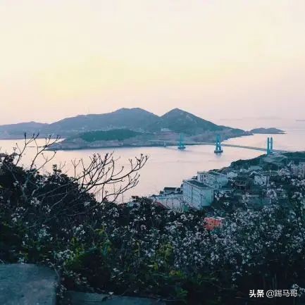 我向往的生活是什么样子短片,我向往的生活是怎么样的