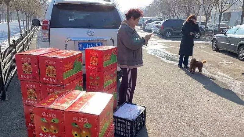 巴彦淖尔梨,巴彦淖尔卖梨