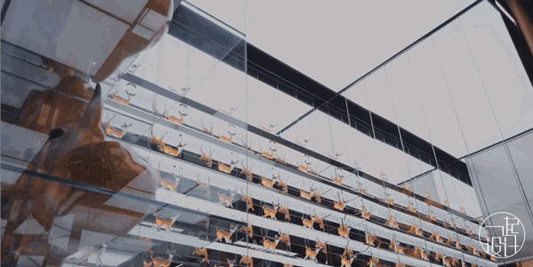 最有设计感的零售店,一些比较有设计感的店铺