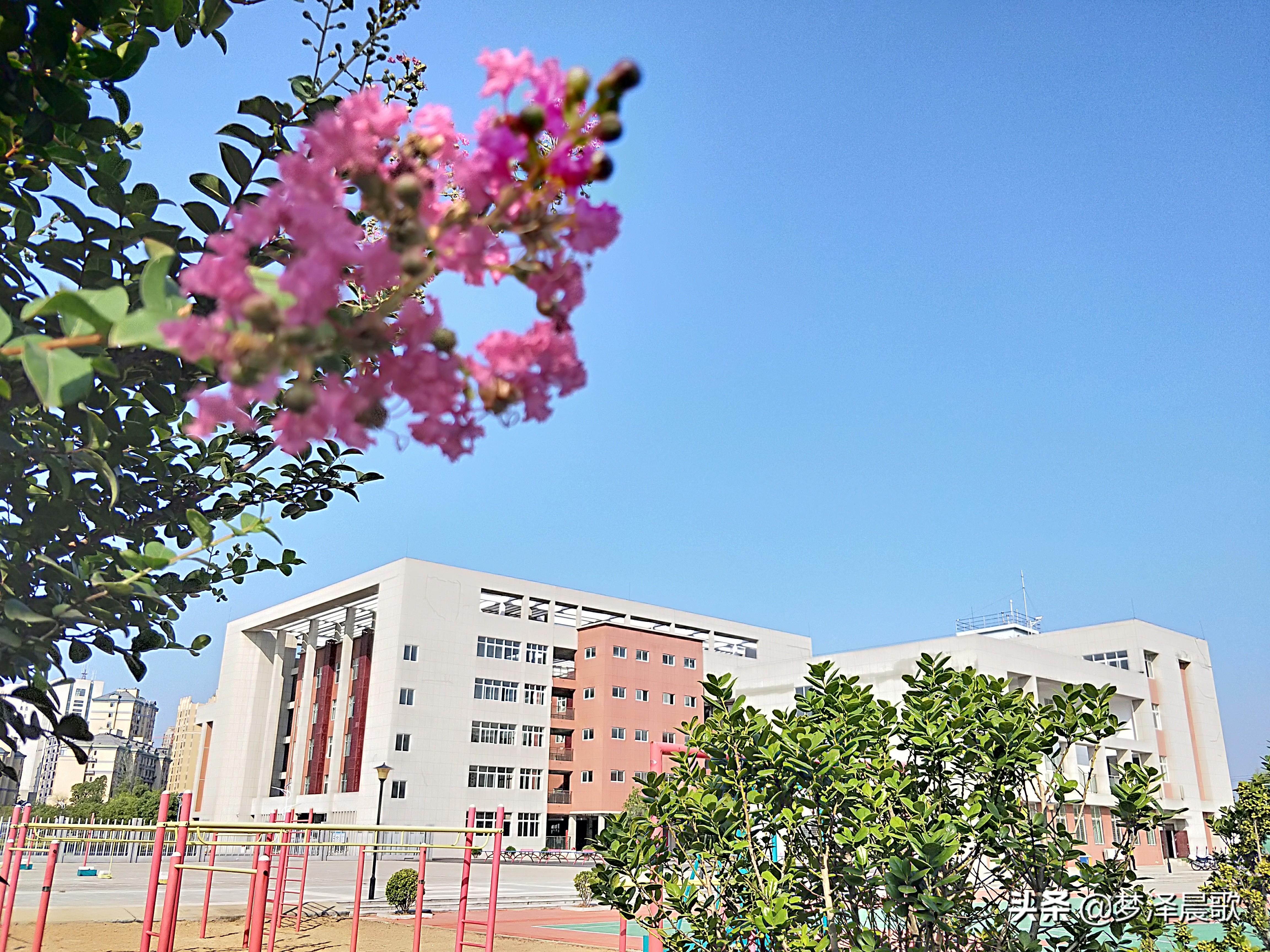 弘扬传统文化打造书香校园图片,传承红色基因创建绿美校园