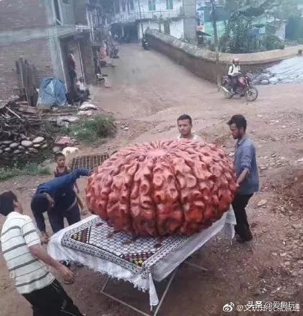 金刚最好的盘玩方法,金刚应该怎么盘