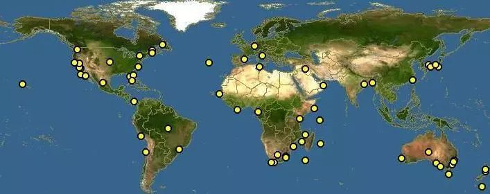 海洋中几乎无敌的大白鲨,真正的大白鲨和巨齿鲨的图片