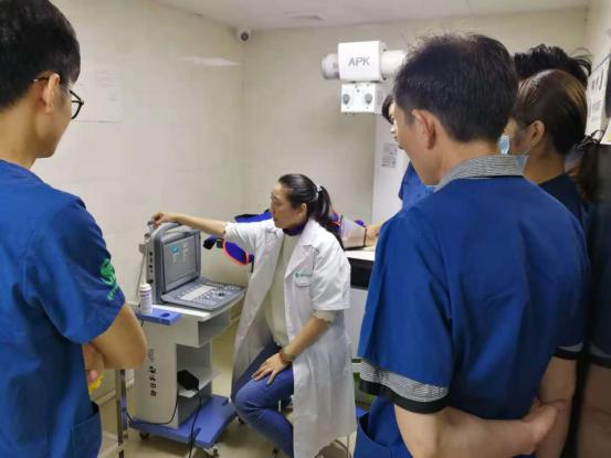 鐟炴淳瀹犲尰,鐟炴淳瀹犵埍瀹犵墿鍖婚櫌