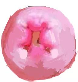 直肠前突排便不尽有什么办法缓解,直肠无力排便不尽