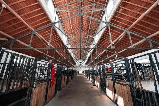 上海马球,上海有马球吗