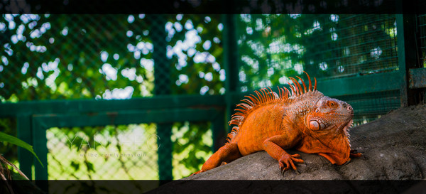 泰旅局发布2019年泰国旅游新玩法,曼谷漫游攻略