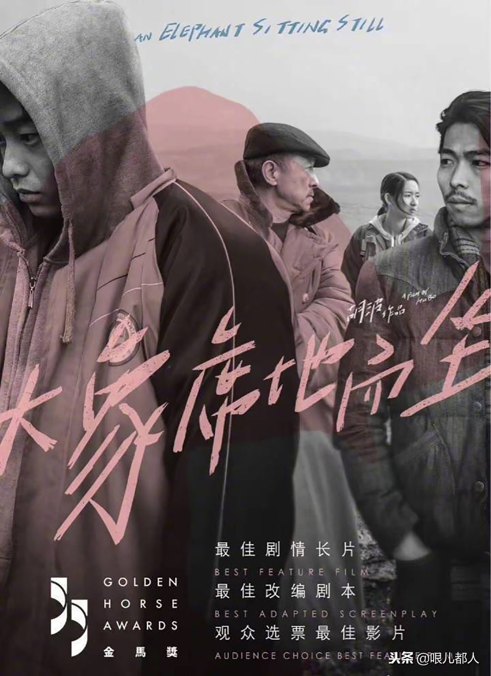 有人说，那只会席地而坐的大象是因为“腿折”了