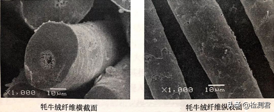 动物毛怎么收藏,各种动物毛纤维
