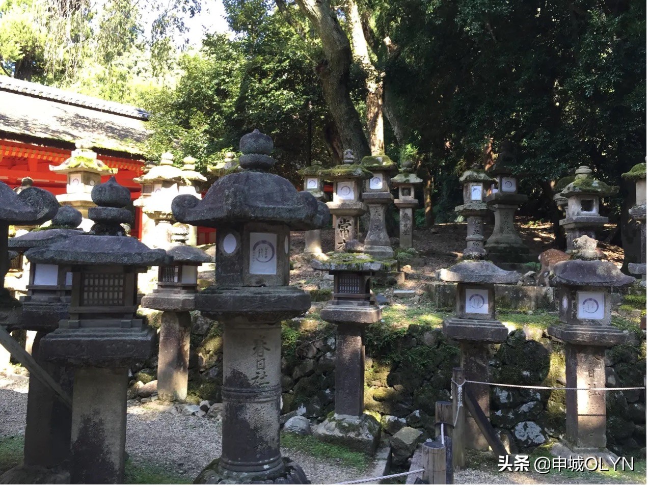 日本冲绳三年旅游签证办理攻略,日本单次旅游签证冲绳