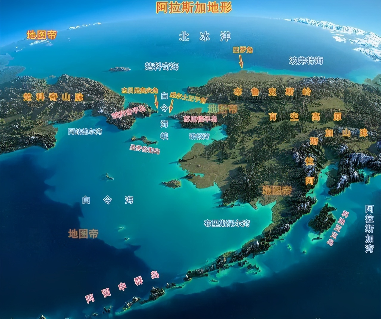 北极再现史前动物尸体,北极再现史前生物详细大揭秘