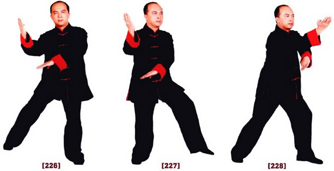 咏春拳入门十二散手,咏春拳标指教学视频