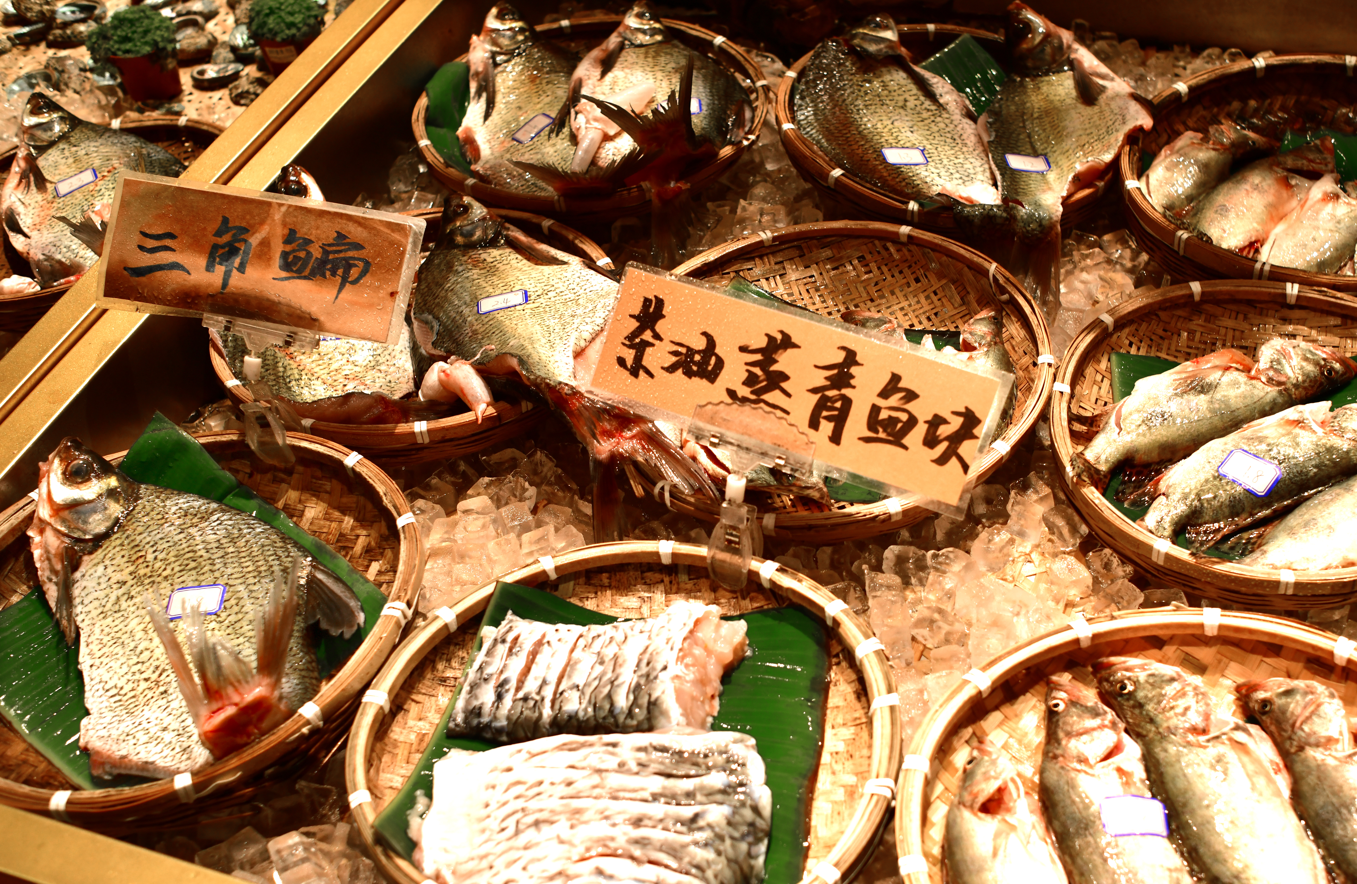 湘菜之甲鱼馆,特色湘菜甲鱼馆