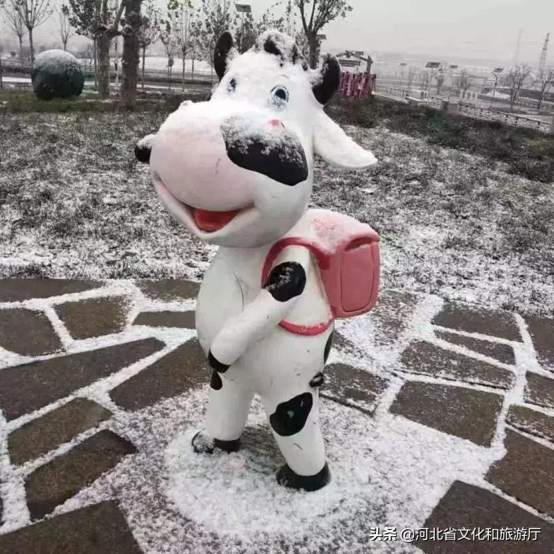 石家庄旅游最新资讯,2020石家庄春节旅游特价