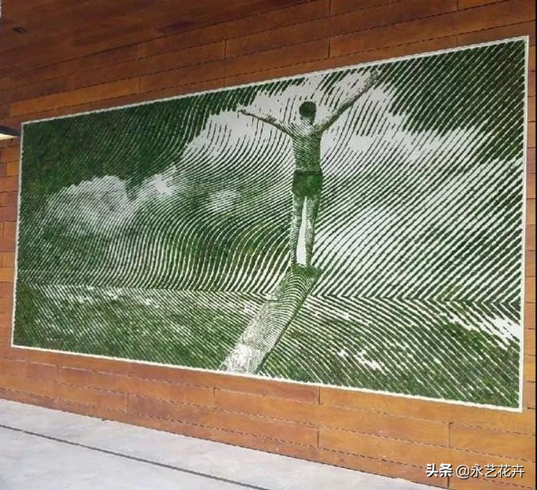 永生花苔藓植物墙,永生苔藓的价格