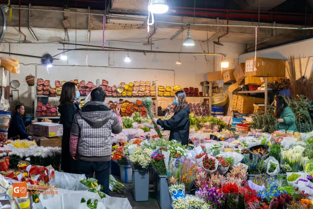 重庆最大的花市在哪里,重庆花市排名前十名
