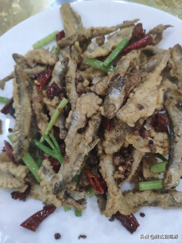 成都哪里可以避暑看萤火虫,成都周边露营看萤火虫哪里最合适