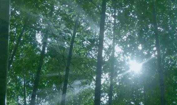 常州周边竟然藏着*博兰**基尼家族野奢之作！来了就想住一辈子