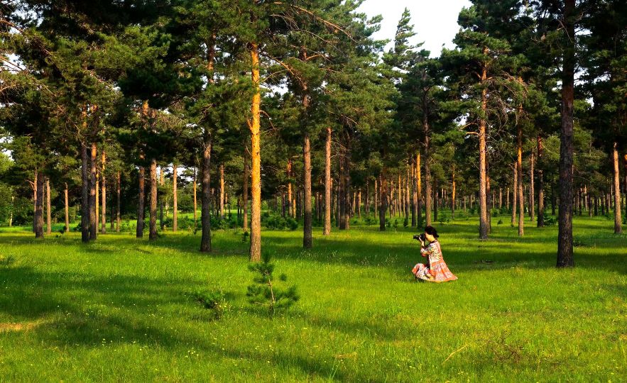 康平周边五一自驾游免费景点攻略,康平县夏季旅游