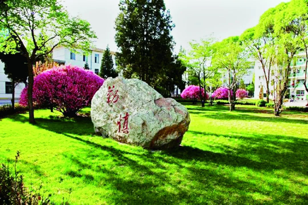 忻一中高考2021全省排名,忻一中2019成绩