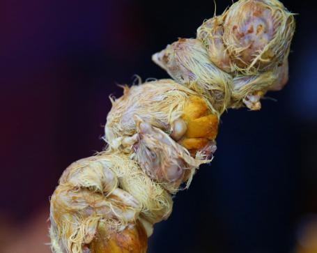 东北人的十大特色美食有哪些呢,堪称东北最好吃的6大美食