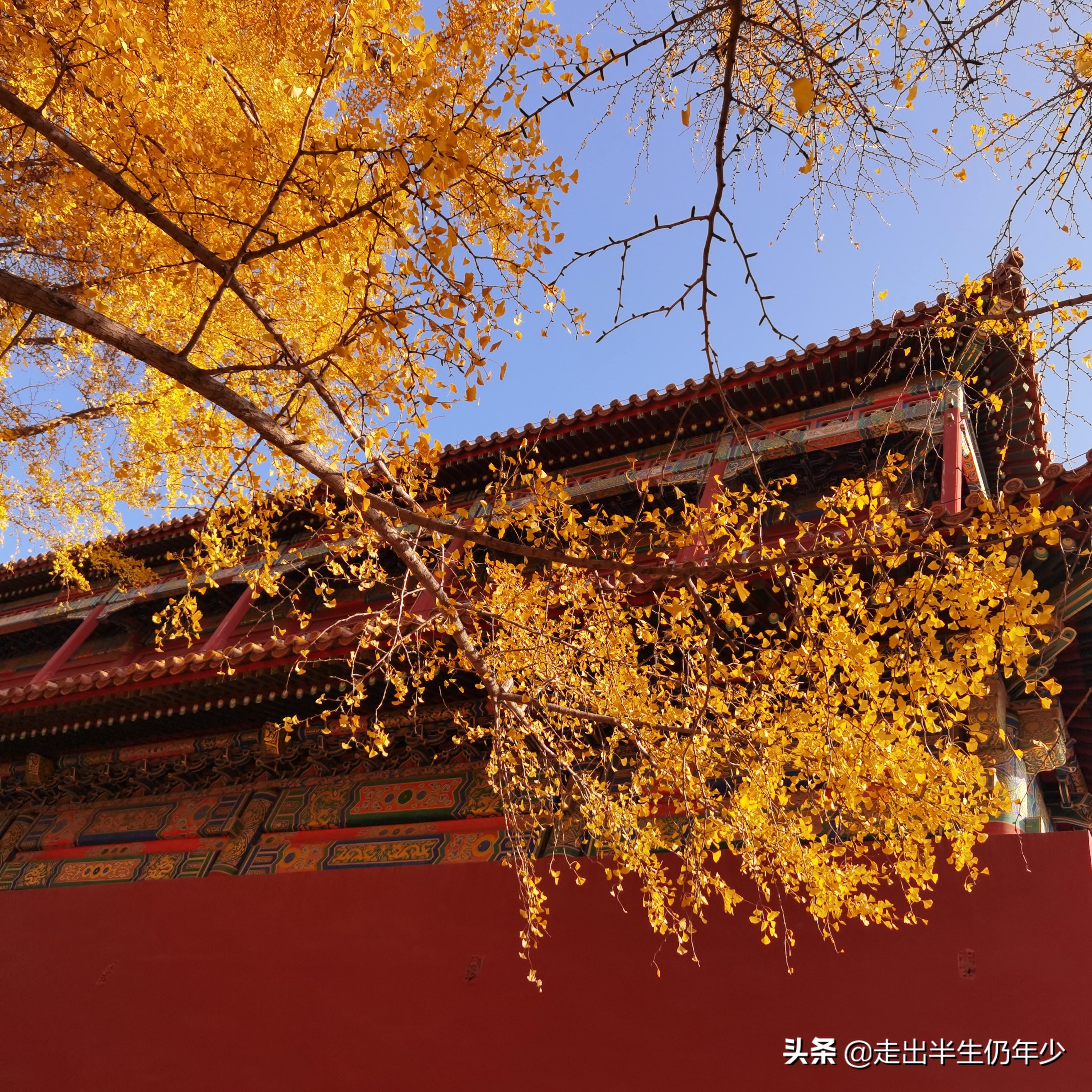 寻找记忆十年前的北京,北京深度游十五日自由行攻略