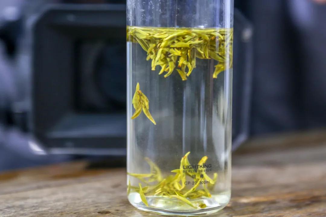 平阳黄茶滋味,平阳黄茶推荐