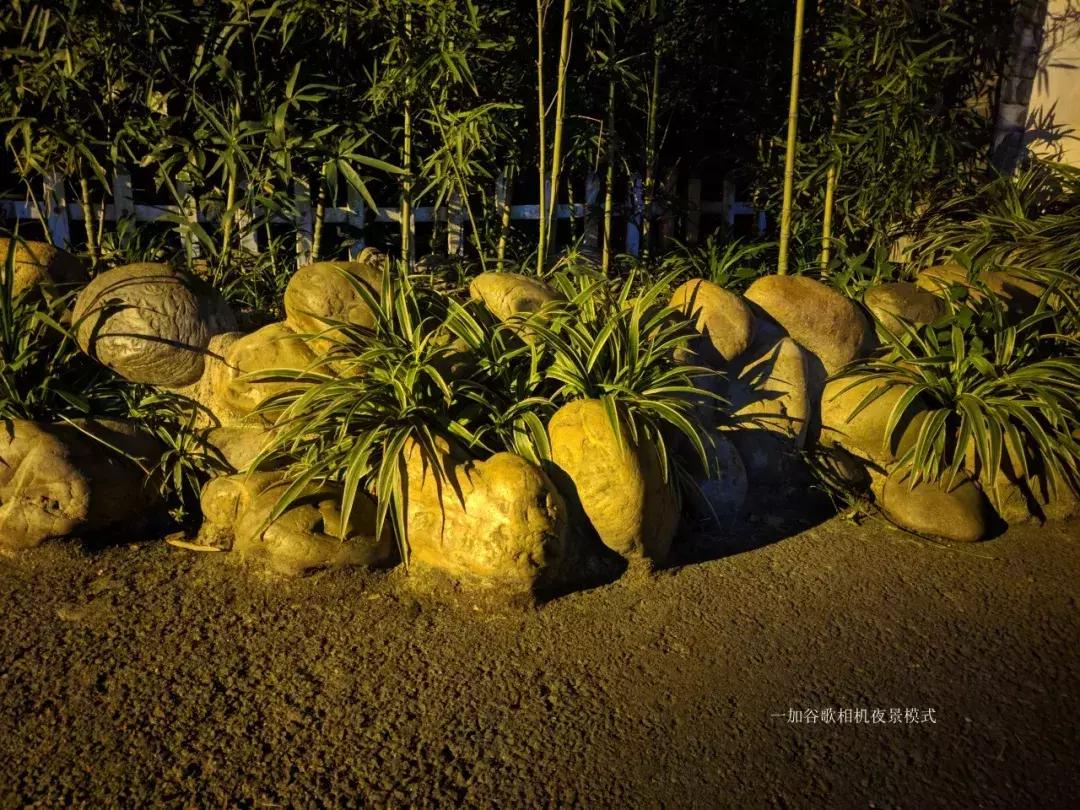 千元机变万元机,千元机拍照堪比苹果