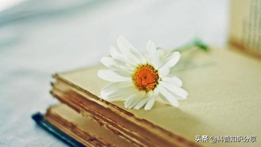 英国留学生银行卡攻略,英国留学办理什么银行卡