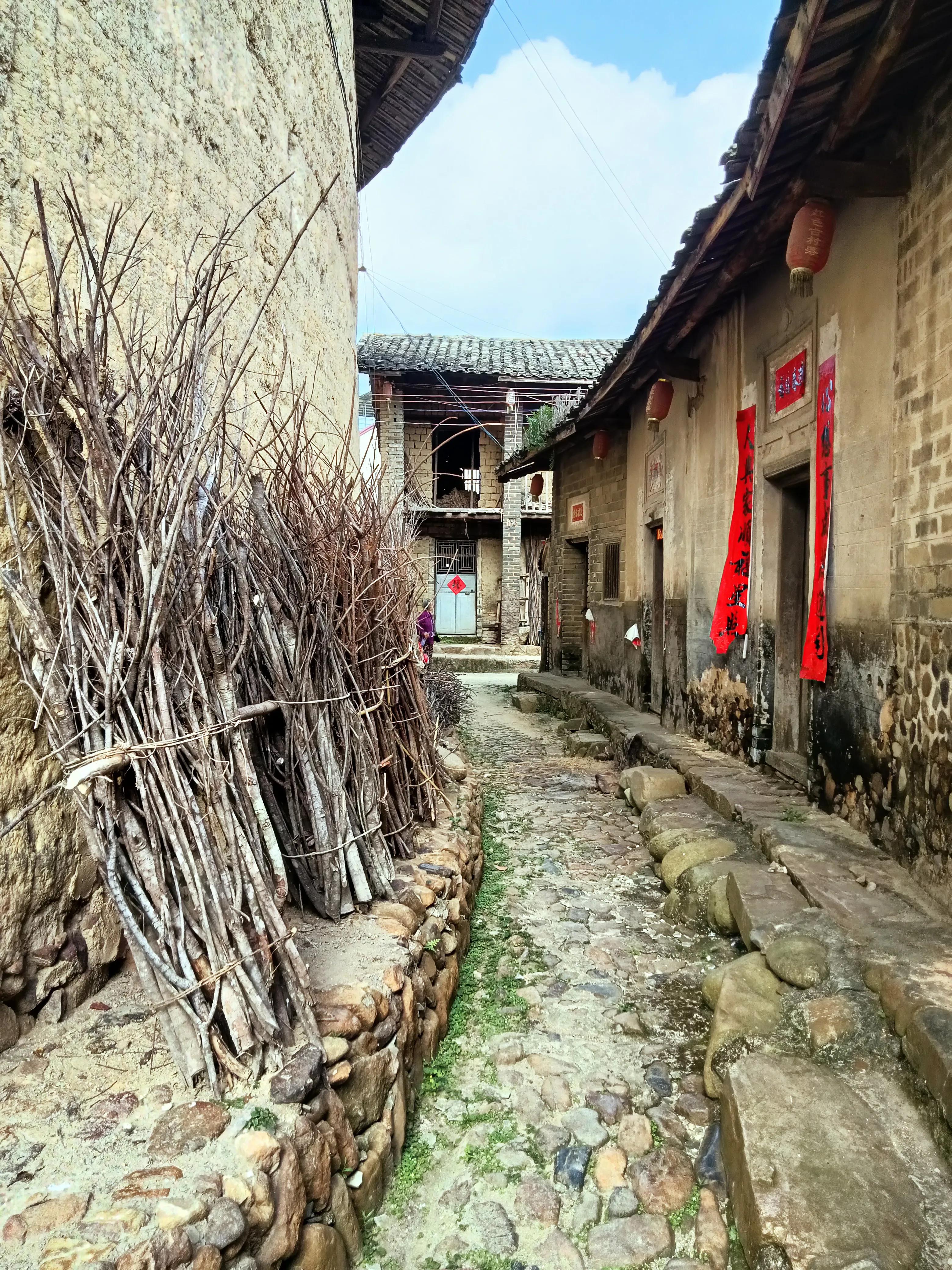 饶平三饶四方塘老榕树在哪里,榕树爷爷是合唱还是独唱