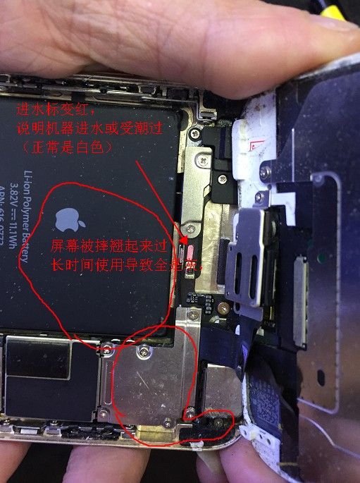 华强北最强攻略,华强北最新零元购机