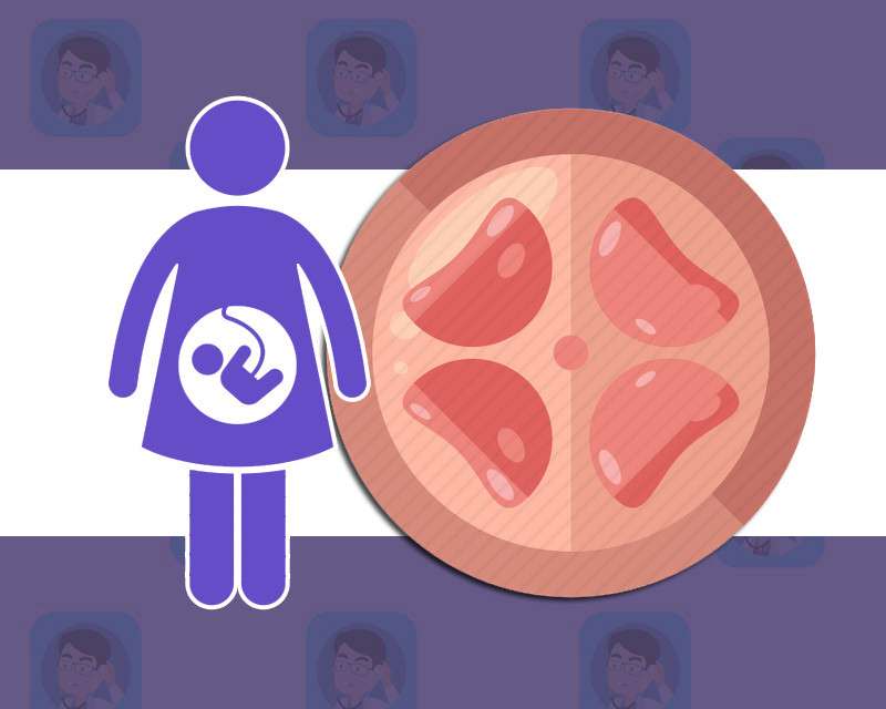 中国婆婆捧上天的胎盘真相,关于胎盘的真相