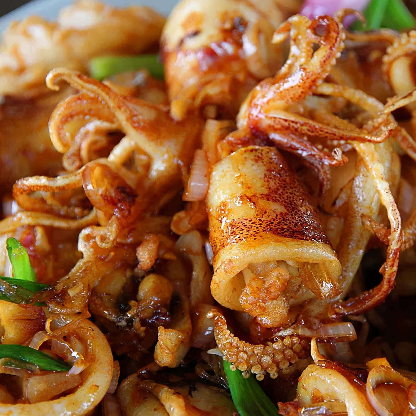 惠州适合亲子游的宝藏胜地,惠州宝藏打卡地