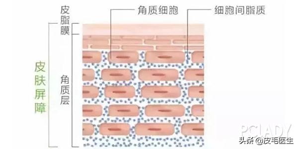 皮肤换季爆痘怎么办,皮肤换季干燥敏感爆痘怎么办