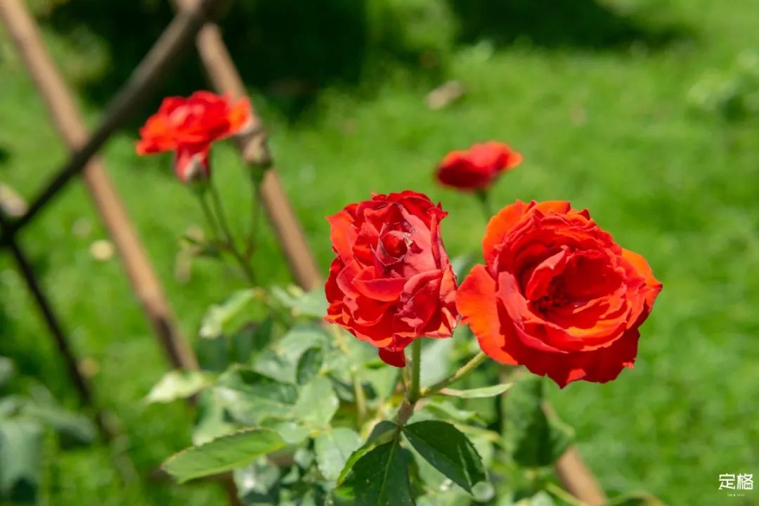 深圳十大避暑基地,深圳附近避暑地方有哪些景点