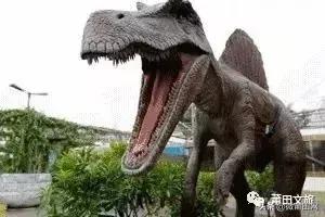 湄洲岛好玩还是九龙谷,去莆田先到九龙谷还是湄洲岛