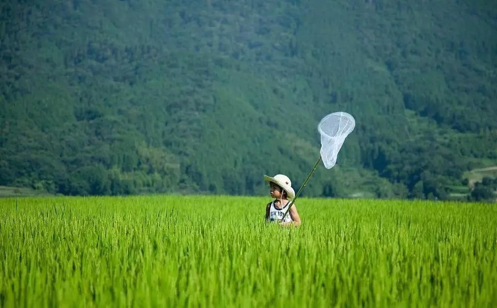 绿城桃花源里庭院探秘,绿城第10座桃花源