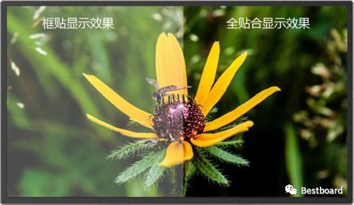 汇茂科技有限公司,汇茂科技公司