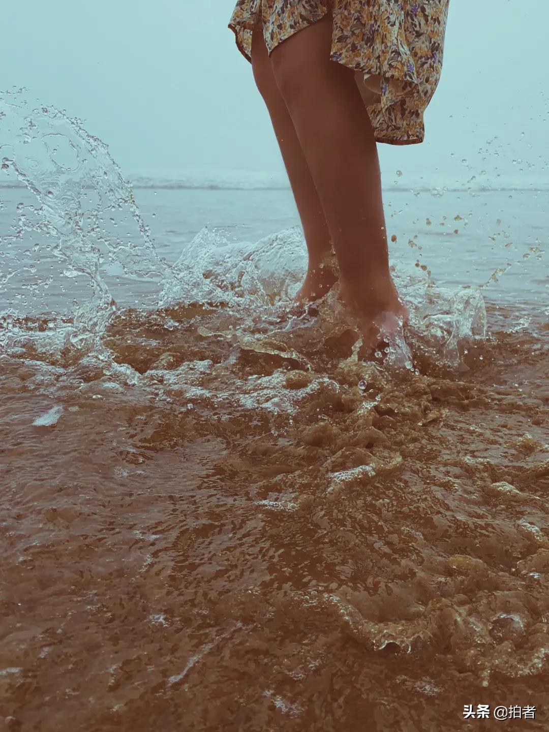 手机摄影天花板机型,手机摄影爱生活