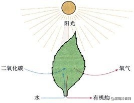 太阳能电池供电系统原理图,太阳能电池工作原理电流图
