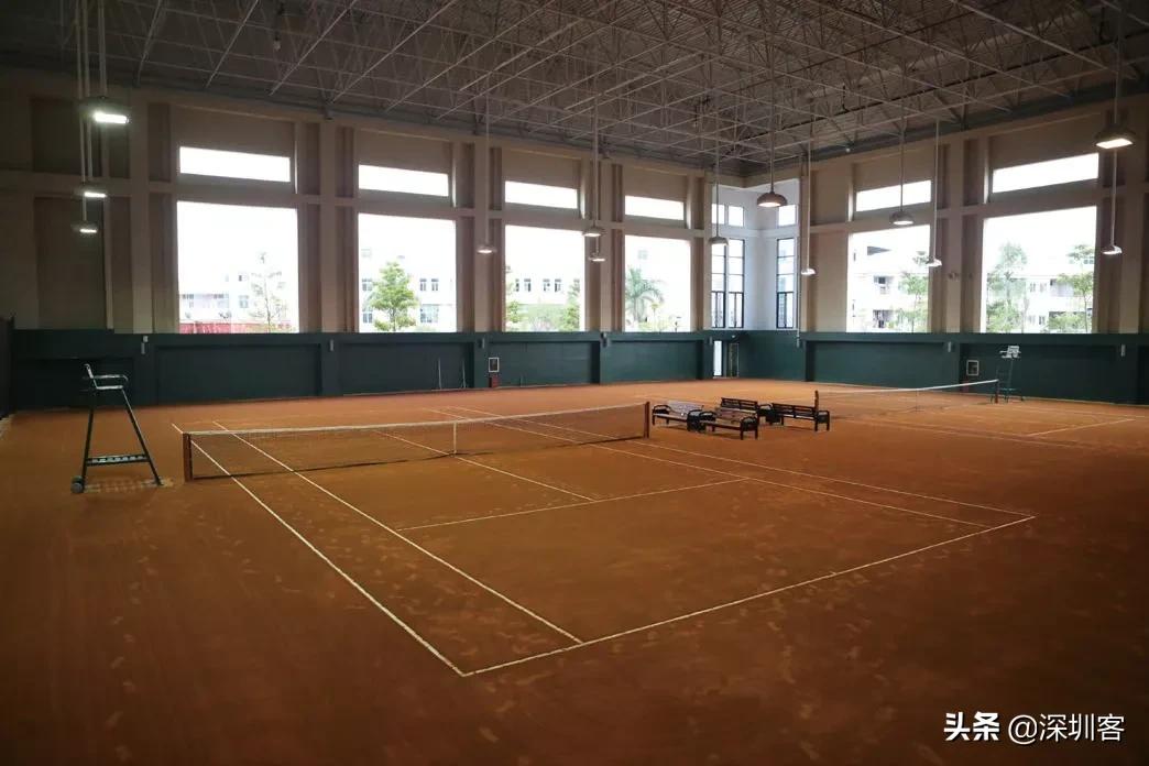 网球深圳哪里有,网球羽毛球棒球哪个最快