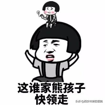 健康中国行动最新动态,健康中国2023我行动