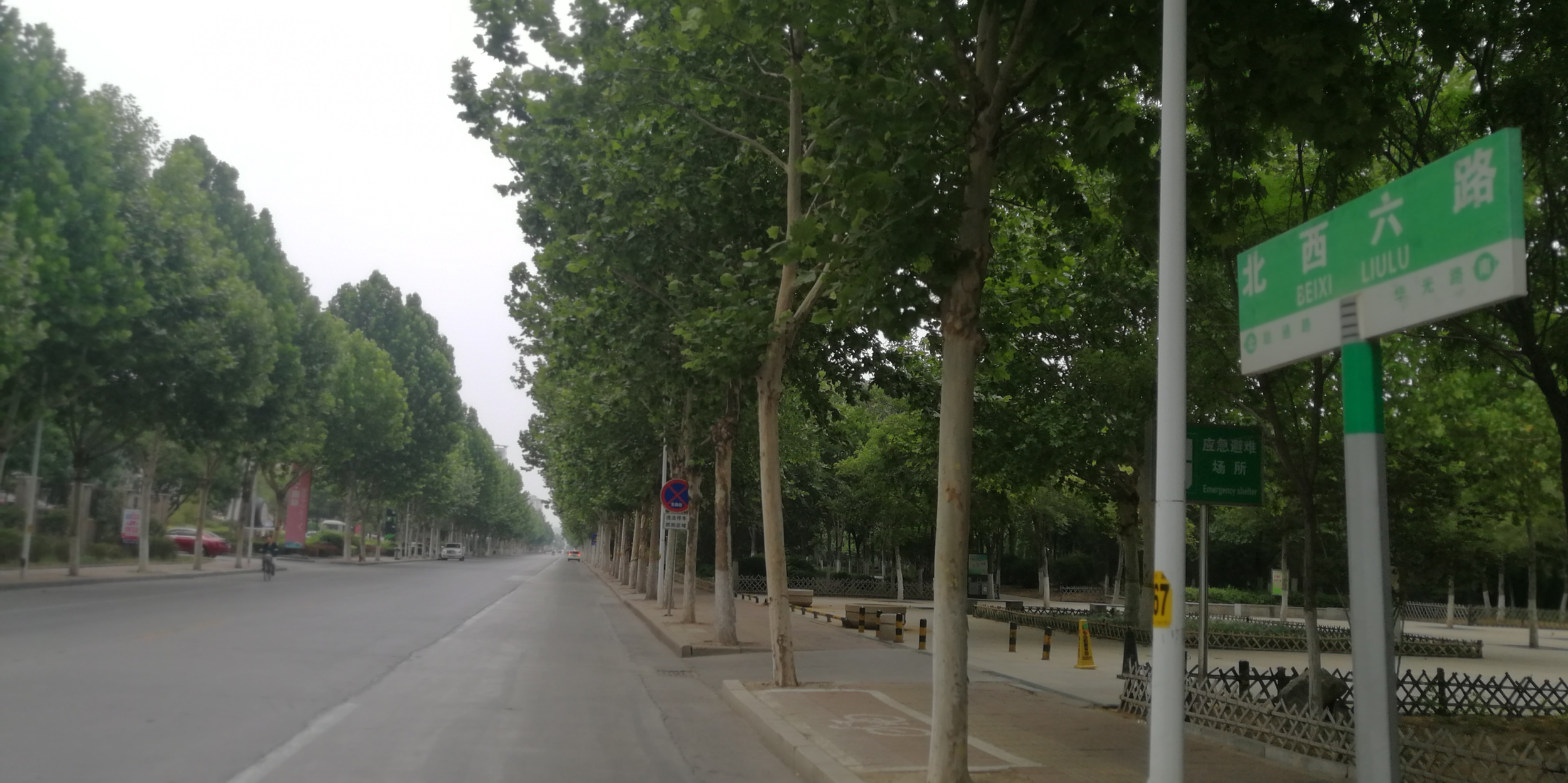 漫步在淄博,漫步淄博街头