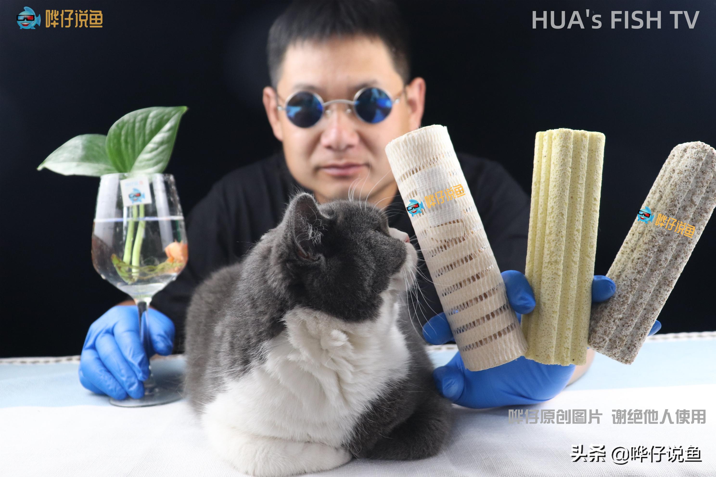 养鱼细菌屋管用吗,养鱼细菌屋能用砖头代替吗