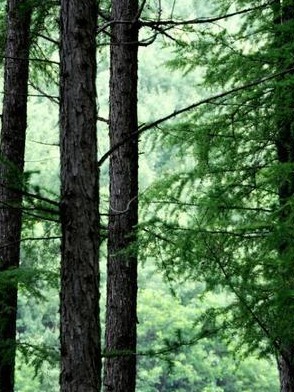 汪么屯人钱途门路多