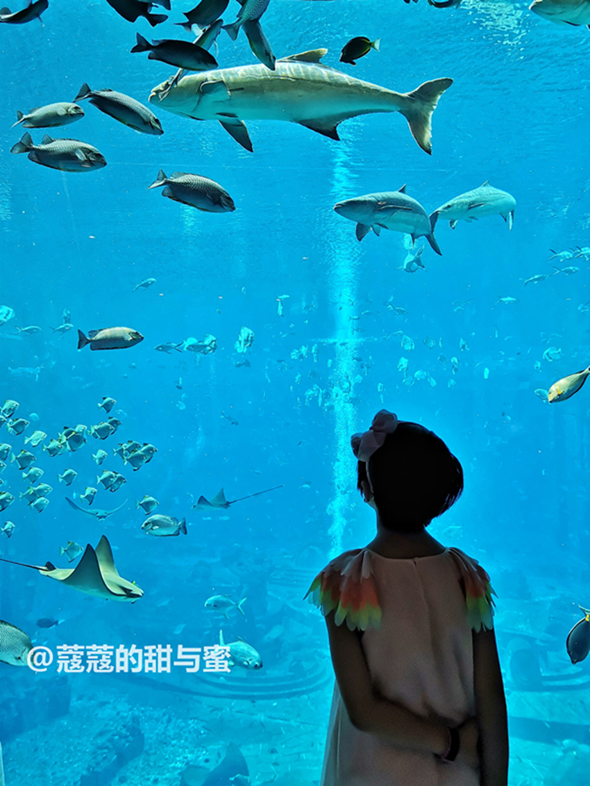 三亚亚特兰蒂斯攻略自由行五天,三亚七天自由行攻略亚特兰蒂斯