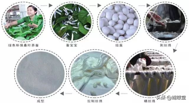 蝴蝶堂内衣面料配方,蝴蝶堂内衣